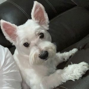 Meet your Posher, Ana